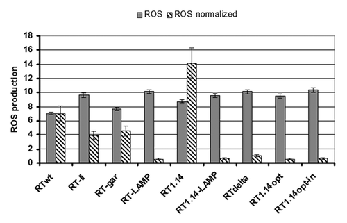 Figure 2. Generation of ROS in HEK293 cells transiently transfected with RT genes. Total ROS production (gray bars) and ROS level normalized to the content of RT variant per expressing cell (stripped bars) are both given in relation to the production of ROS in response to transfection with the empty vector. Data represent the results of two to three independent transfection experiments, each done in duplicate.