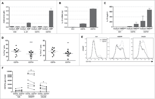 Figure 5. Characterization of CD73+ Vγ9Vδ2 T cells. (A) Adenosine production by control (Ctrl), bulk IL-21-cultured (IL-21), CD73− IL-21-cultured (CD73-) and CD73+ (CD73+) IL-21-cultured Vγ9Vδ2 T cells was measured by MALDI-TOF mass spectrometry. Representative results of one of four experiments performed each time with cells from different donors. (B) Relative quantification of IL-10 mRNA in Ctrl, CD73− and CD73+ Vγ9Vδ2 T cells. This experiment was performed twice, each time with cells from different donors. (C) IL-10 production by Ctrl, CD73−, CD73+ Vγ9Vδ2 T cells, stimulated or not with HMBPP. This experiment was performed twice, each time with cells from different donors. (D) Graphs show the percentage of IFN-γ+ (left panel) and TNF-α+ (right panel) cells in the CD73− and CD73+ subpopulations of Il-21-cultured Vγ9Vδ2 T cells. (E) Representative flow cytometry histograms showing CD107a membrane expression in CD73− and CD73+ IL-21-cultured Vγ9Vδ2 T cells after HMBPP stimulation or co-cultured with Daudi cells for 6h. (F) The graph show the geometric mean of CD107a membrane expression in non-activated (N/A) CD73− and CD73+ IL-21-cultured Vγ9Vδ2 T cells and after HMBPP stimulation or co-cultured with Daudi cells for 6h. This experiment was performed six times, each time with cells from different donors; *p<0.05, **p<0.01 and ***p<0.001 (paired Wilcoxon test).