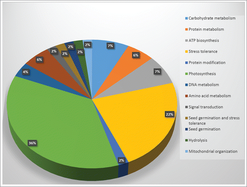 Figure 4 Graphical representation and functional cataloging of identified proteins in Hymenaea leaf samples. The protein cataloging is based on their predicted functions in biological processes. Functions of the proteins were identified using Uniprot and NCBI databases.