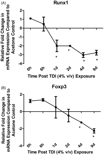 Figure 4. Differential mRNA transcription expression kinetics in DLN following murine TDI dermal exposure. Analysis of (A) RUNX1 and (B) FoxP3 mRNA expression following single dermal exposure to TDI (4% [v/v]). Points on graph represent mean (±SE) fold-change in gene expression of three mice/group at each indicated timepoint compared to acetone vehicle control. *Significant (p < 0.05) compared to vehicle control.