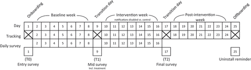 Figure 1. Study procedure.