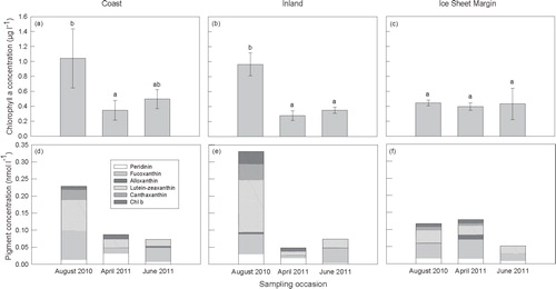 FIGURE 5. Mean regional phytoplankton Chl a and photosynthetic pigment concentrations from three study locations (coast, inland, and ice sheet margin) on three sampling occasions: July–August 2010 (open water), April–May 2011(under ice), and June–July 2011 (immediately following ice melt). Error bars represent means (n = 5–6) ± 1 SEM, and bars assigned the same letter are not significantly different at the P ≤⃒ 0.05 level following post-hoc tests on two-way ANOVA. Algal pigment concentrations are shown in white (peridinin, dinoflagellates), light gray (fucoxanthin, siliceous algae), dark grey (alloxanthin, cryptophytes), white stripe (lutein-zeaxanthin, green algae, and cyanobacteria), light gray stripe (canthaxanthin, cyanobacteria), and dark gray stripe (Chl b, green algae).