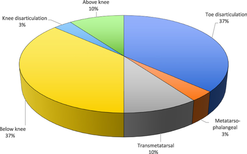 Figure 4 Types of lower extremity amputations.