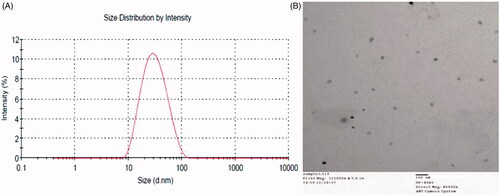 Figure 3. Size (A) and TEM (B) images of optimized Cel-Indo-NLCs.