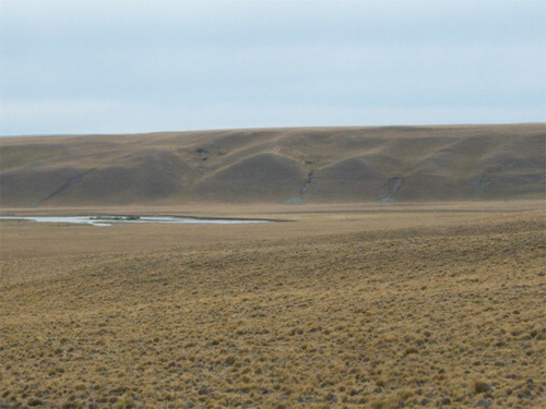 Figure 8. Fault scarp along the northern margin of the Río Gallegos valley, where triangular facets are still recognizable.