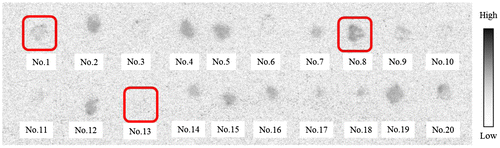 Figure 7. Autoradiogram (ARG) images of contaminated particles, with diameters in the range of 2–4 mm.