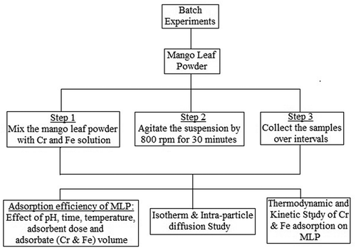 Figure 1. Schematic diagram for research methodology for adsorption of Cr and Fe on 250 μm size mango leaf powder.