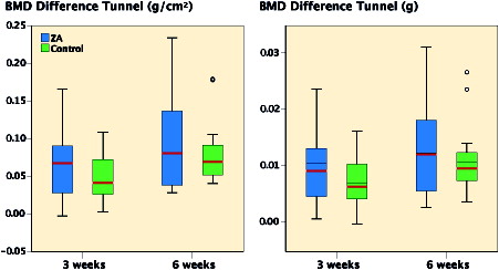 Figure 5. Clustered boxplots of data from DEXA measurements of the ROI over the bone tunnel: BMD and BMC difference from baseline.