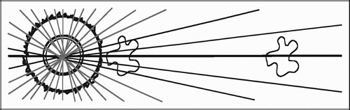 Figure 15. Transverse section of implant (left) and objects with increasing distance to vertical axis