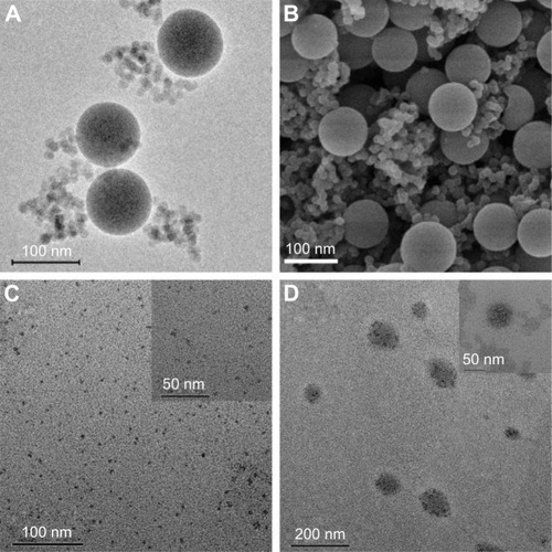 Figure 2 (A) TEM and (B) SEM image of the thioether-bridged PMOs. (C) TEM images of WQDs synthesized via bottom-up method and (D) TEM images of PMOs-DOX@ WQDs.