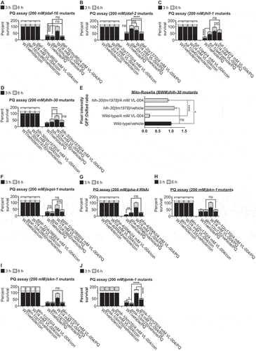 Figure 4. Role of canonical aging genes in VL-004 activity. (A-D) and (F-J) Stacked bar graphs showing worms’ Survival in 200 mM PQ after 3 h and 6 h, n = 6. Total number of worms was as followed: (A) ≥ 127; (B) ≥ 219; (C) ≥ 140; (D and F) ≥ 141; hlh-30 and sqst-1 mutants’ experiments were performed together, therefore shared same wild-type controls; (G) ≥ 124; (H) ≥ 142; (I) ≥ 155; (J) ≥175. (E) Bar graph quantifying mitophagy. Data represent an average of n = 30 animals/per treatment, N = 3. *p < 0.05, **p < 0.01, ***p < 0.001, ****p < 0.0001, ns = non-significant.