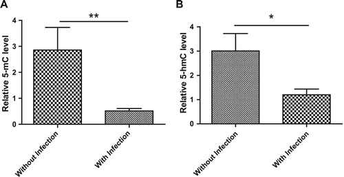 Figure 5. The association of 5-mC and 5-hmC with infection status in ALL patients. (A,B) ALL patients were divided into two groups, patients with infection and patients without infection according to the diagnosis by physicians. The levels of global 5-mC (A) and 5-hmC (B) in 2 groups were compared with each other. Data points are shown with mean value ± standard deviations.