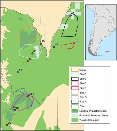 Figure 1. Map of the study area with colored polygons denoting the regions sampled during camera trap surveys. Different shades of green are used to represent the Yungas ecoregion, National s and Provincial Protected Areas.