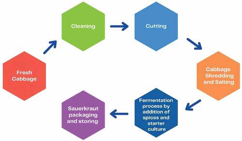 Figure 1. Schematic representation of Sauerkraut production.