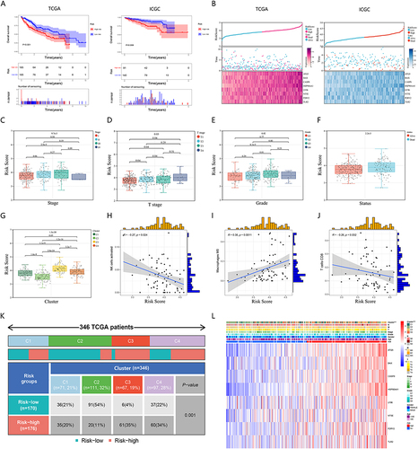 Figure 7 The risk score was related to HCC prognosis and pathological state. (A)K-M survival analysis of the ICDRGs risk model in the TCGA (left) and ICGC (right) cohorts for HCC patients. (B) Risk triple plots, including risk dispersion plots, survival time scatter plots, and heatmaps of model gene expression in the TCGA (left) and ICGC (right) cohorts. Boxplots of risk scores in HCC patients with different stages (C), T stages (D), pathological grades (E), status of survival (F), and clusters (G). (H-J) Correlation analysis between risk scores and immune cells. (K) Comparison of the differences in subtypes between different risk groups. (L) The relationship between ICDRGs and clinical indicators and subtypes of HCC.