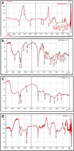 Figure 2. Fourier transforms infrared spectrophotometry of (a) pure GEN, (b) Phospholipon®90H, (c) PM of pure GEN and Phospholipon®90H, and (d) GPLC formulations.