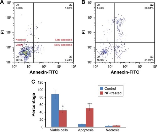 Figure 14 Apoptosis induced by CNPs in lymphocytes. Lymphocytes were incubated with (A) vehicle control and (B) 200 µg/mL CNPs for 48 h. Afterwards, flow cytometric analysis was conducted. (C) Results showing the percentage of viable, apoptotic, and necrotic cells. Data are expressed as mean ± SE (n = 3). *P < 0.05 and ***P < 0.001 vs control group.