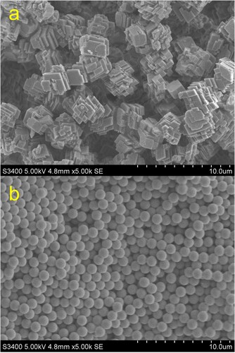 Figure 1. SEM images of (a) the solid calcium carbonate and (b) the hollow silica microparticles. The CaCO3 microparticles are constituted by smaller, box-shaped crystalline components and have an average size of 3.4 ± 0.3 µm. The hollow SiO2 microparticles are spherical and uniform with an average size of 1.11 ± 0.04 µm. The scales of both images correspond to 10 µm.