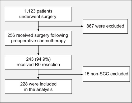 Figure 1 Study enrolment.Abbreviation: SCC, squamous cell carcinoma.