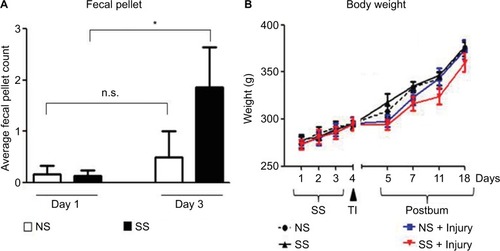 Figure 8 Effects of SS on defecation and body weight.