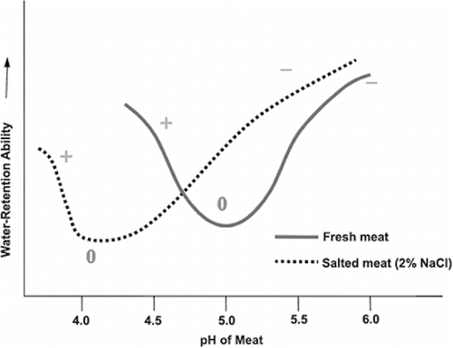 Figure 2. Sodium chloride levels versus cook loss. Cook loss is defined as the degree of shrinkage of meat during cooking due to loss of drippings and volatile losses (3.7% salt = 4% cook loss; 2.9% salt = 6% cook loss; 2.1% salt = 9% cook loss; 1.3% salt = 22% cook loss). Source: Data are from Youling Xiong, University of Kentucky.