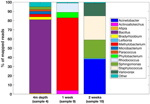 Figure 6. Representation of 1-week (sample 9), 2-week (sample 10) and 4 m depth microbial communities’ diversity (sample 4) by 16S rDNA amplicon sequencing. Only genera with more than 1% abundance are shown and ‘other’ refers to the detected genera with lower abundance (see the interactive supplementary table S3 for full description). See discussion for more info.