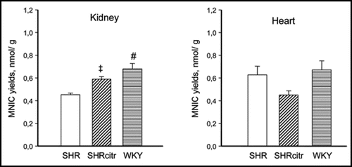 Figure 3 NO yields in kidney (A) and heart (B) determined by electron paramagnetic resonance in SHR (open bars), SHR perinatally supplemented with citrulline (SHRcitr; diagonally striped bars) and WKY (horizontal striped bar).Citation46 †p < 0.05, ‡p < 0.01 and #p < 0.001 vs. SHR.