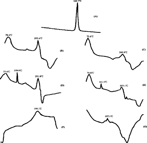 FIG. 2 DTA thermograms of (A) indomethacin (IMC), (B) β -CD, (C) HP-β -CD, (D) IMC + β -CD (physical mixture), (E) IMC+HP-β -CD (physical mixture), (F) IMC/β -CD inclusion complexes, and (G) IMC/HP-β -CD inclusion complexes.