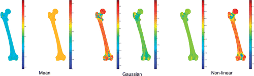Figure 2. The three mapped curvatures (mean, Gaussian, and non-linear kc) for the femur mesh (3k and 2k faces).