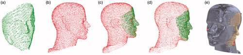 Figure 3. Facial region registration. The real-patient point cloud is green; the CT point cloud is red. (a) Only the facial region was scanned in the real-patient space. (b) Point cloud of the CT data. (c) Coarse registration. (d) ICP refinement. (e) An example of failed registration using a previously described method [Citation3]. The real-patient point cloud is golden; the CT point cloud is gray. (color online).