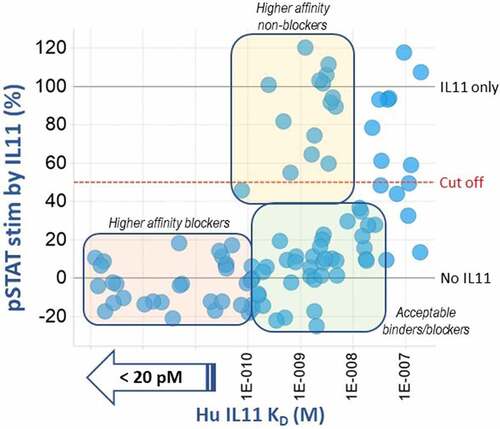 Figure 2. Profiling of tool anti-IL-11 antibodies by affinity vs. pSTAT3 functional inhibition.