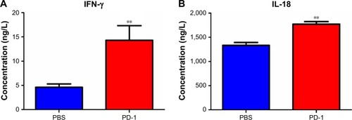 Figure 5 Serum IFN-γ (A) and IL-18 (B) levels of PD-1 mAb-treated mice and PBS controls were monitored by ELISA. **P<0.01.Abbreviations: ELISA, enzyme-linked immunosorbent assay; IFN-γ, interferon-γ; mAb, monoclonal antibody; PBS, phosphate buffered saline.