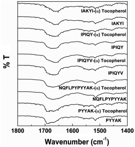 Figure 7. Fourier transform infrared spectrum of milk oligopeptides and milk oligopeptide-(α)-tocopherol complexes