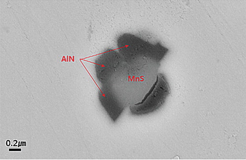 Figure 15. Coarse precipitates of AlN and MnS but no fine VC precipitation was detected in this 0.11  wt-%V, TWIP tested at 800°C [Citation16].