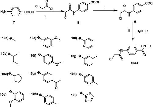 Scheme 2. synthesis of the key intermediates 10a-l. Reagents and conditions: i) DMF/NaHCO3/stirring, r.t./1h, ii) dichloroethane/SOCl2/DMF/reflux/1h, iii) CH3CN/stirring/r.t./3 h.