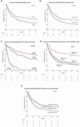Figure 3. (a) Overall survival depending on high CD3 positive lymphocyte infiltration state. (b) Overall survival depending on PD-1 expression on tumor-infiltrating lymphocytes. (c) Overall survival depending on high CD3 positive lymphocyte infiltration state and UICC stage. (d) Overall survival depending on PD-1 expression on TILs and on CD3 positive lymphocyte infiltration state. (e) Overall survival depending on PD-1 expression in tumor-infiltrating lymphocytes and tumor localization. Tumor samples were grouped for low versus high infiltration with CD3 positive TILs by using the median. For grouping in PD-1 and PD-L1 positive/negative, an expression ≥1% was used as a cutoff.