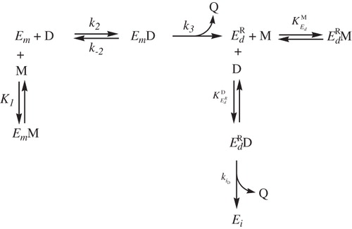 Scheme 3. Effect of monophenols on , inactivation by o-diphenol.