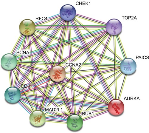 Figure 2 The PPI network of top ten hub genes.Abbreviation: PPI, protein–protein interaction.