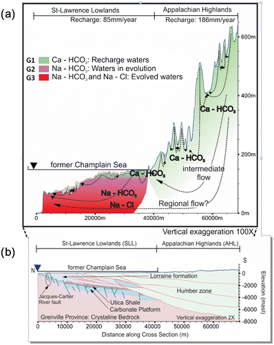 Figure 2. Conceptual model for the Chaudière-Appalaches regional groundwater model, showing (a) flow and geochemical evolution with water types G1, G2 and G3; and (b) the geologic cross-section of the deep subsurface (after Séjourné et al. Citation2013).
