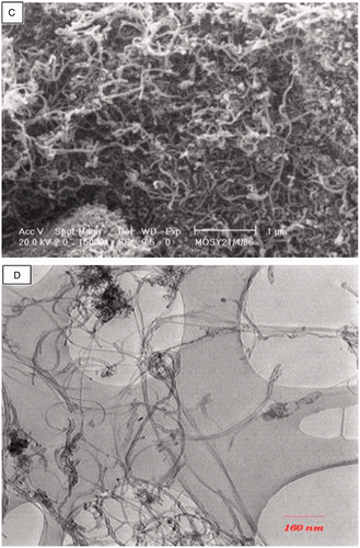 Figure 1. SEM (A) and TEM (B) images of MWCNTs (type 2) and SEM (C) and TEM (D) images of MWCNTs (type 1).
