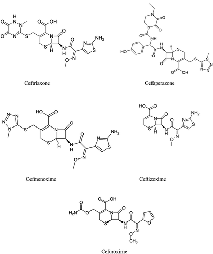 Figure 1.  Structures of tested antibiotics.