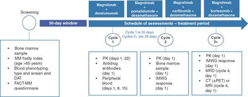Figure 2. Schedule of study assessments.All treatment arms follow the same schedule of assessments. Not exhaustive.CT: Computed tomography; DAT: Direct antiglobulin test; IMWG: International Myeloma Working Group; MM: Multiple myeloma; PET: Positron emission tomography; PK: Pharmacokinetics.