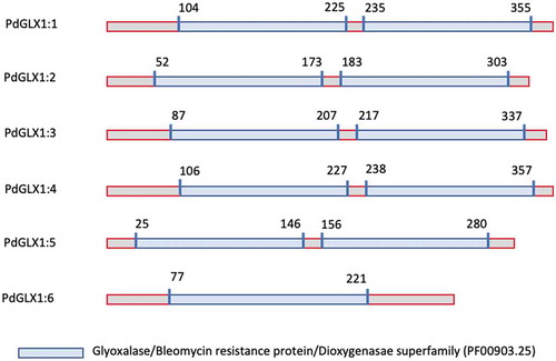 Figure 2. Domain architecture of the different PdGLX1:1–6 proteins