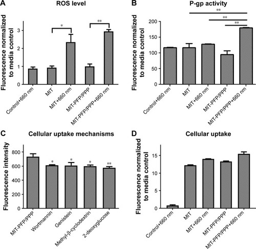 Figure 3 ROS levels, P-gp activity, cellular uptake mechanisms and cellular uptake of free MIT and MIT-PFP/PPP mixed micelles with or without irradiation at the power of 24 mW for 0.5 h with a 660 nm fiber-coupled laser system in MCF-7/ADR cells (mean ± SD, n=3).Notes: (A) ROS levels were determined by a ROS assay kit with fluorescent analysis by flow cytometry. (B) P-gp activity was detected by a multidrug resistance assay kit. (C) Cellular uptake mechanisms were determined by preincubation with different endocytic inhibitors and (D) intracellular uptake was detected by measuring the fluorescence of mitoxantrone associated with the cells by flow cytometry. *P<0.05 and **P<0.01.Abbreviations: MIT, mitoxantrone; PFP, poly(ε-caprolactone)-pluronic F68-poly(ε-caprolactone); PPP, poly(d,l-lactide-co-glycolide)–poly(ethylene glycol)–poly(d,l-lactide-co-glycolide); P-gp, P-glycoprotein; ROS, reactive oxygen species.