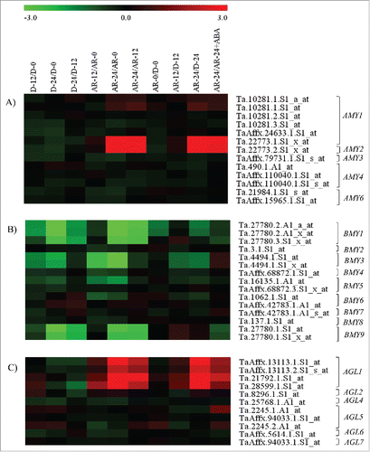 Figure 1. Heat maps showing changes in the expression of probesets annotated as AMY (A), BAM (B) and AGL (C) genes. Log2 scaled fold changes in the expression of probesets during imbibition of dormant (D-12/D-0, D-24/D-0 and D-24/D-12) and after-ripened seeds (AR-12/AR-0, AR-24/AR-0, AR-24/AR-12), between dormant and after-ripened seeds in both dry and imbibed states (AR-0/D-0, AR-12/D-12 and AR-24/D-24) and between water and ABA imbibed after-ripened seeds (AR-24/AR-24+ABA). Expression values in log2 fold changes are represented by the negative and positive numbers on the bar and the color scale at the top of each heat map; higher and lower expression levels of respective probesets are represented by red and green colors, respectively. Log2 and linear scaled fold changes in expression of the probesets and the respective P values can be found in Table S1.