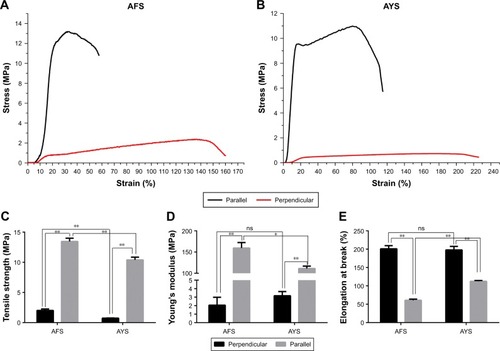 Figure 4 Mechanical properties of scaffolds.Notes: Representative tensile stress–strain curve of AFS (A) and AYS (B); (C) tensile strength at break; (D) Young’s modulus; and (E) elongation rate at break of P(LLA-CL)/gelatin AFS and AYS. The data are expressed as mean ± SD. *P<0.05, **P<0.01, a statistically significant difference between groups; ns, P>0.05, no significant difference between the two groups (n=3).Abbreviations: AFS, aligned nanofiber scaffolds; AYS, aligned nanoyarn scaffolds; P(LLA-CL), poly(l-lactide-co-caprolactone); SD, standard deviation.