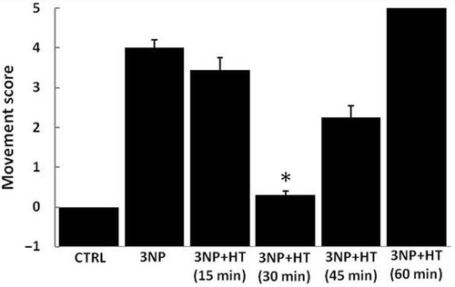 Figure 1. Total movement score and the effect of thermal treatment in control rats (CTRL), rats treated with 3 NP (20 mg/Kg, i.p., 3 doses 0,12 and 24 h) and rats treated with 3-NP but subject to a heat pretreatment (WBH 15, 30, 45 and 60 minutes). Rats where subject to hyperthermia and injected with a first dose of 3-NP 16 hours later; two more doses of 3-NP were applied with an interval of 12 hours each. Groups were evaluated 6 hours after the last injection. Each column represents the mean ± SEM for five independent experiments (n = 10 animals by group). *p < 0.05 versus all the groups except control group (CTRL).
