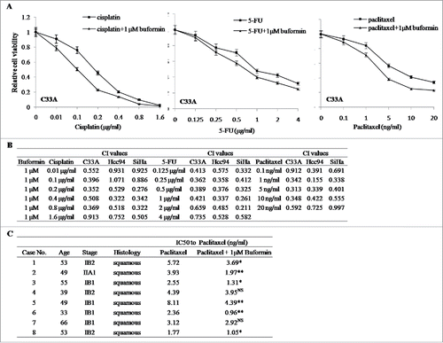 Figure 6. Buformin synergizes with chemotherapy in cervical cancer cells. (A) In C33A cells, low-dose buformin (1μM) significantly enhanced the anti-proliferative effects when combined with paclitaxel, cisplatin, or 5-FU; (B) 1 μM buformin manifested potent synergistic effects with the 3 chemotherapeutic drugs in C33A, Hcc94, and SiHa cells (CI < 1); (C) In 8 primarily cultured human cervical cancer tissues, the addition of 1 μM buformin significantly increased cellular sensitivity to paclitaxel in 75% (6/8) of samples.