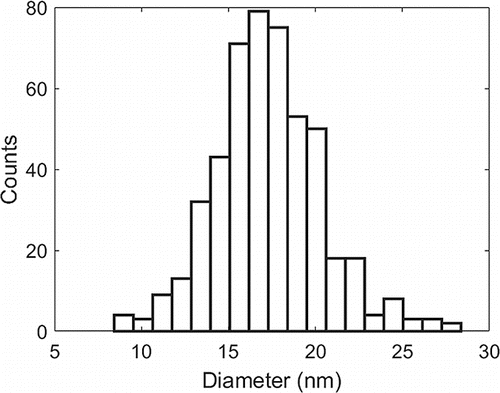 Figure 2. Particle size distribution for USNano anatase particles. The average diameter in this distribution corresponds to 17.3 nm with a standard deviation of 3 nm.