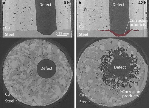 Figure 3. Synchrotron micro-CT vertical and horizontal image slices of the cold spray Cu/steel interface after exposure to O2-sparged 3 mol L−1 NaCl solution for 0 h (a) and 42 h (b). The accumulated corrosion products are highlighted in the 42 h vertical image slice.